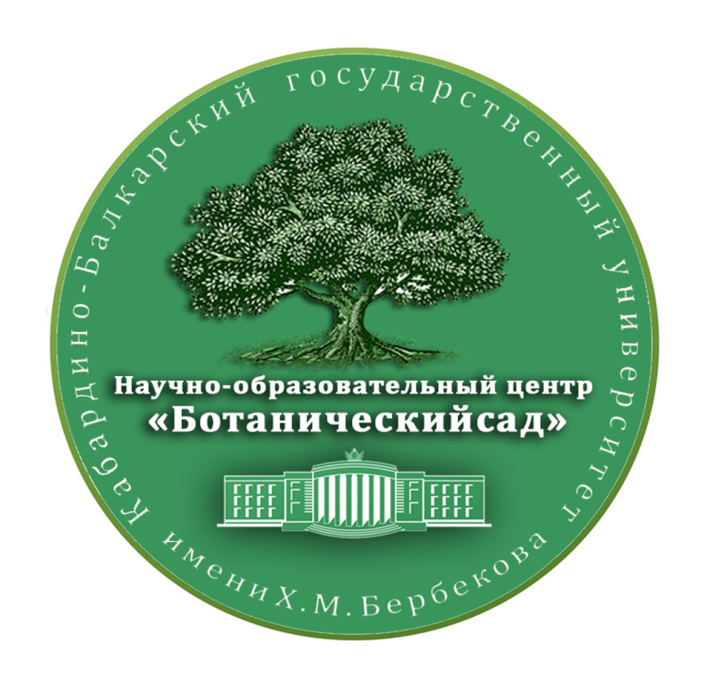 НОЦ 